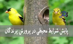 پایش شرایط محیطی در پرورش پرندگان