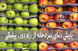 پایش دمای سردخانه از راه دور، پیامکی