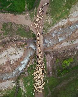 اندر باب «گلوگاه - Bottleneck»‌ در سیستم‌های نرم‌افزاری - بخش نخست