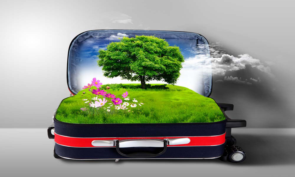 چگونه سفری سبز را تجربه کنیم؟