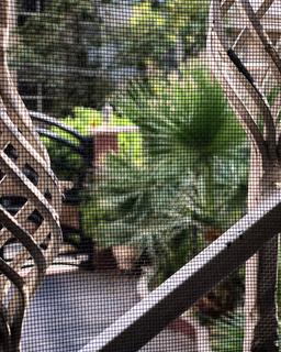 فلسفه‌بافی‌ بر روی سکوی پشتِ پنجره