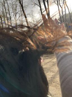 هزار حرف نگفته