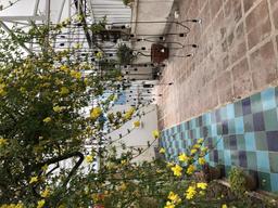 روز بیست‌و‌سوم : با خودت صادق باش !