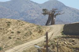 تجربه سفر به جنگل ابر