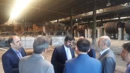 کارخانه چرم مغان احیا می شد