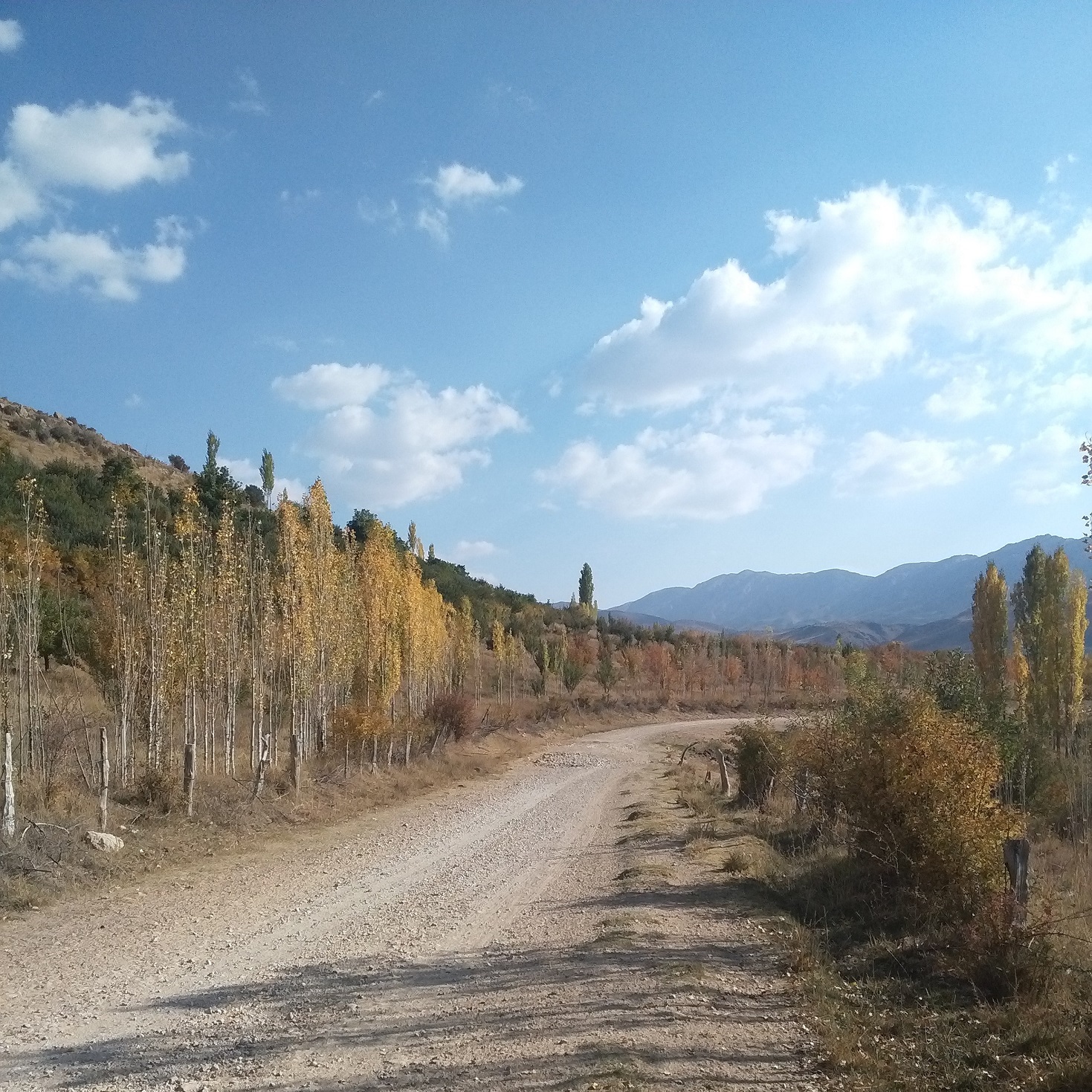 وقتی بچه بودم (بخش دوم- دوم دبستان)