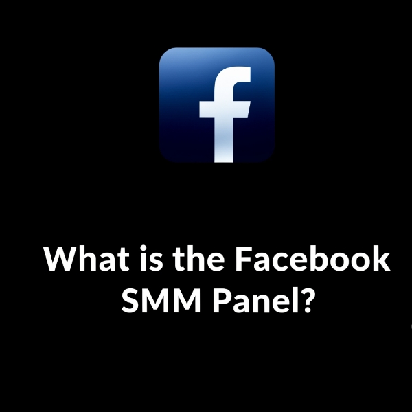 top Best and Cheapest Facebook SMM Panel in 2025