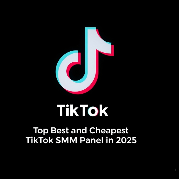 top Best and Cheapest TikTok SMM Panel in 2025