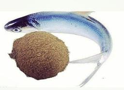 خرید و فروش پودر ماهی، فروش پودر ماهی،پودر میگو،ماهی خشک