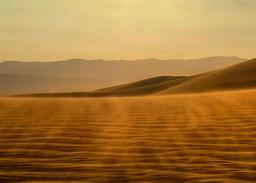 نوشته شده برای زمانهایی که در زلزله مُرده ام!