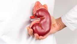 غذاهای محبوبی که دشمن کلیه هستند!