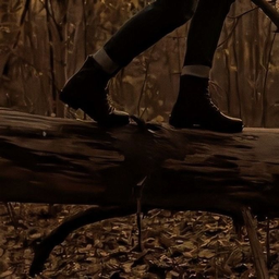 درخت، برگ، و برگ بیشتر