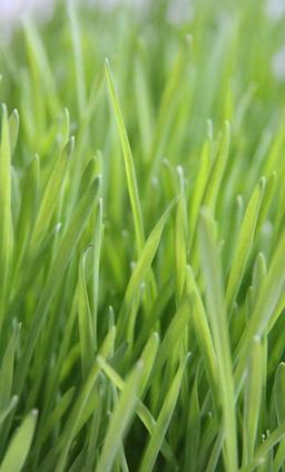 روز جهانی ...!