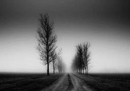 ایران عزیزم، تسلیت