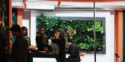 معماری سبز و محوطه سازی محیط شهری