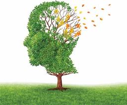 سندروم فراموشی اسم