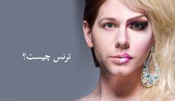 تراجنسیتی،ترنس جندر،ترنس سکشوال؟