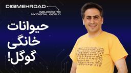 با‌غ‌وحشی در خانه | حیوانات سه‌بعدی گوگل