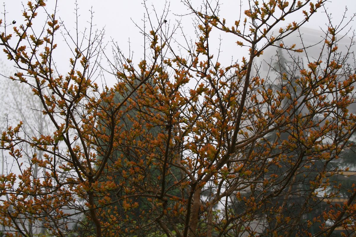 مرا که با تو شادم، پریشان مکن...