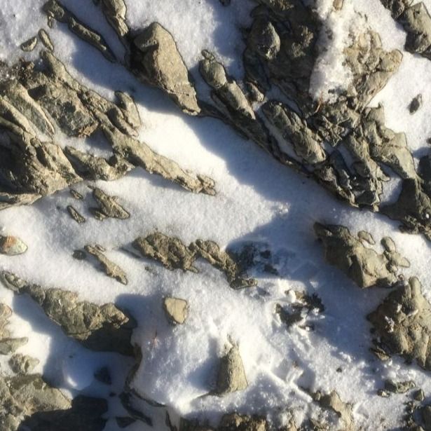 محمدحسین مهدیقلی