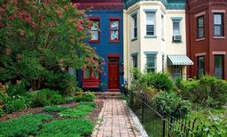 فضای سبز از مرگ زود هنگام جلوگیری می‌کند