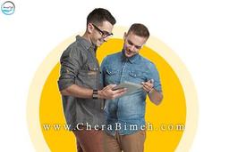 فرانشیز چیست؟