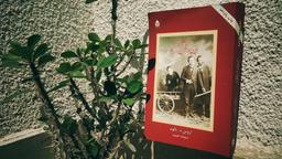 رمان‌درمانی یا درمان سردردهای جنون‌آمیز | نگاهی به رمان وقتی نیچه گریست