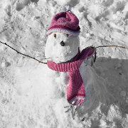 محمود شهابی