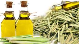 اسانس: استخراج, فعالیت های زیستی, و استفاده از آنها برای حفظ مواد غذایی