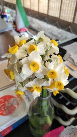 به خاطر بوی گل یاس