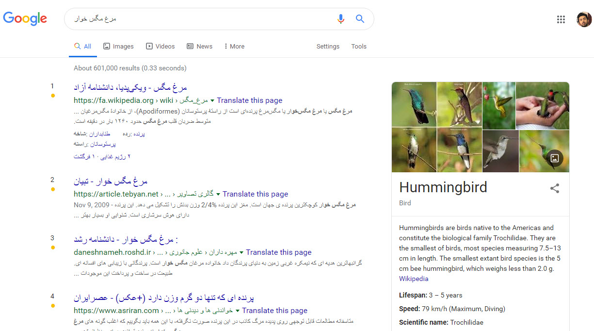 الگوریتم مرغ مگس خوار گوگل (hummingbird algorithm)