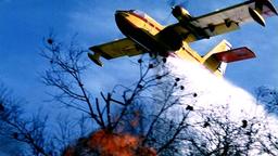 هالیوود، اوتینگر، کلکتیو، پل ورشو و چند خواندنی دیگر