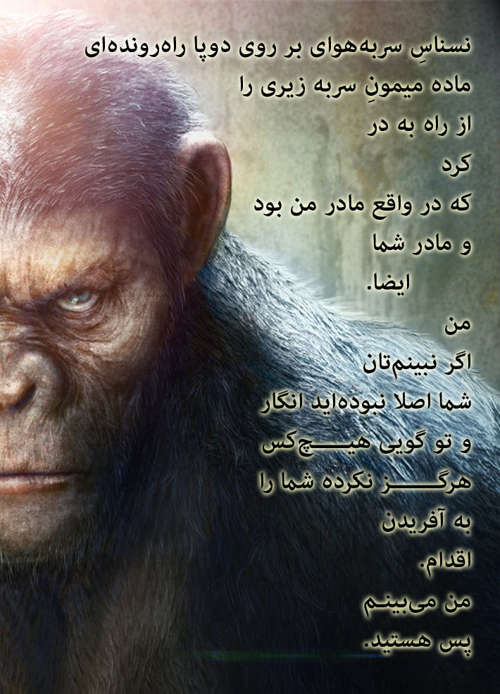 توضیح: تصویر عالیجناب «سزار» کاملاً تزئینی است!