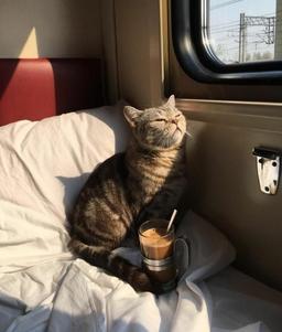 چِشم نوشت♡