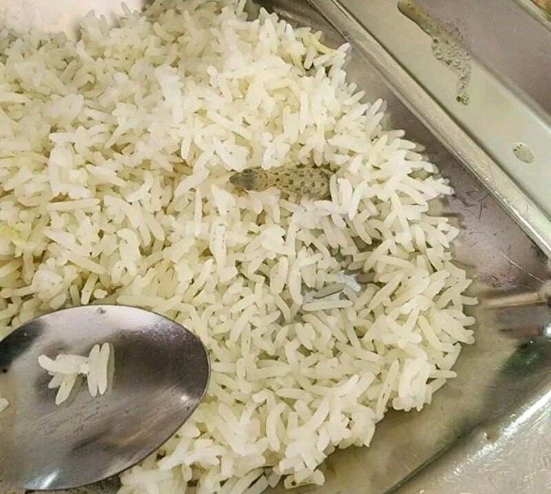 غذای سلف به همراه طعم دهنده مخصوص