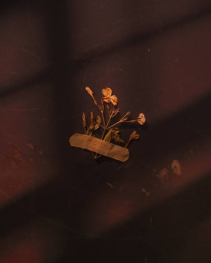 نامه‌ای به دوست : گره قلبم ، باشه گرو قلبت