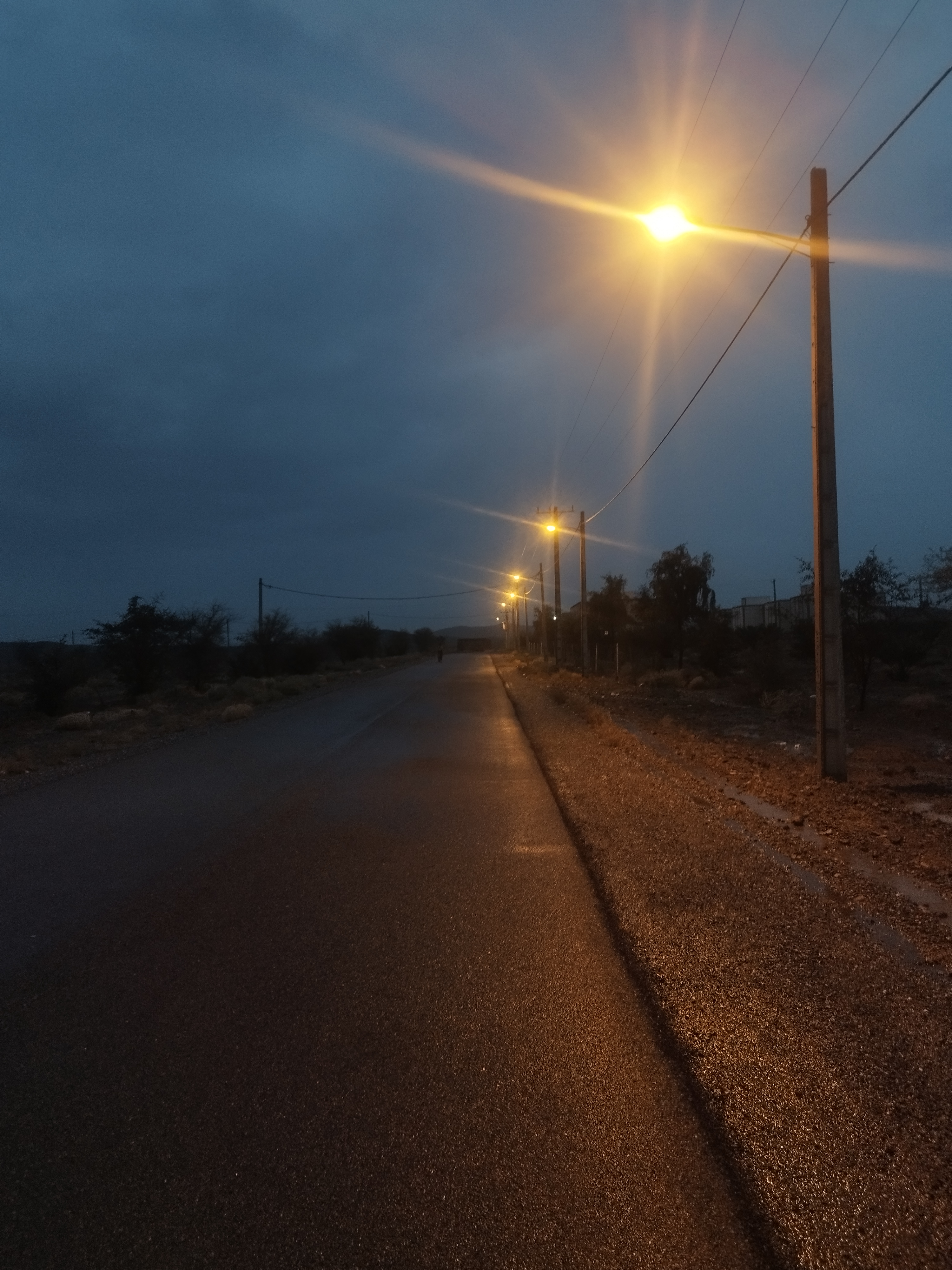 در انتهای دانشگاه