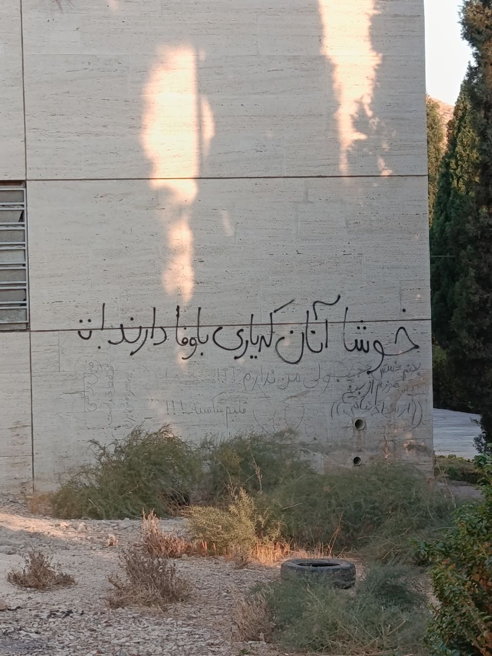 دیوارهای دانشگاه