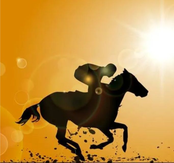 تربیت حیوان وحشی