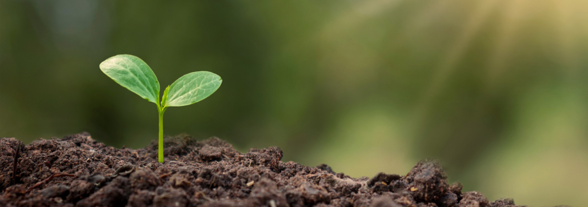 سلامت معنوی