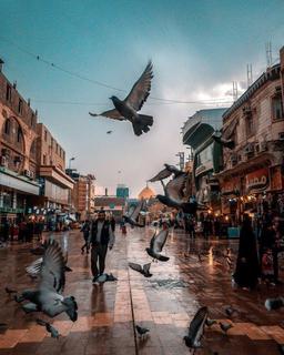 سایه‌ات مستدام حضرت پدر