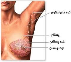 غدد لنفاوی زیر بغل