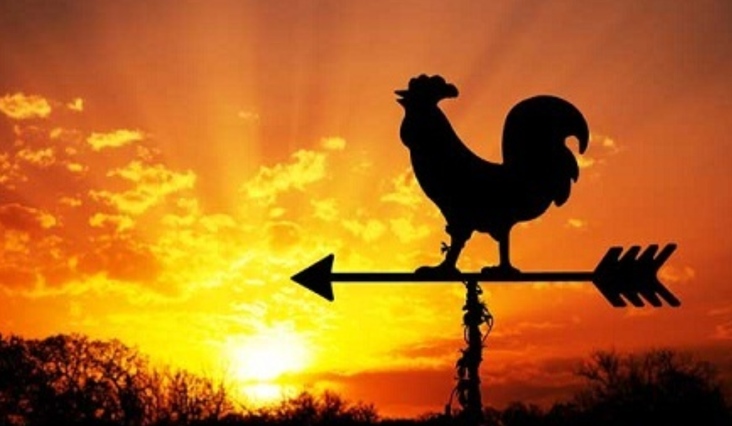.سحر خیز باش تا کامروا باشی.