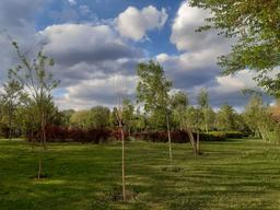 عید است و بهار دلها