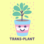 ترنسپلنت | Trans-Plant