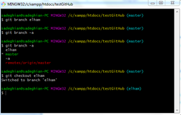 #branch & merge
