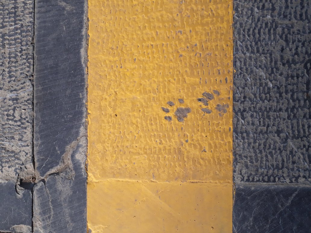 آدم‌ها خط می‌کشند، طبیعت مسیر خودش را می‌رود!