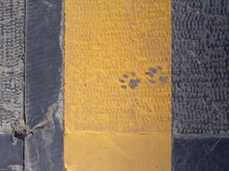 اینترنت را وصل کنید