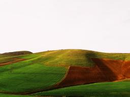 وابستگی من به زندگی شهری...