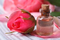 آیا گلاب اصل فقط گلاب کاشونه؟